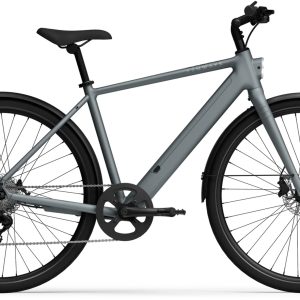 TENWAYS CGO600 Plus Elektrische Herenfiets L (1.80m - 1.95m) 10v