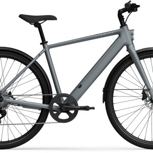 TENWAYS CGO600 Plus Elektrische Herenfiets XL (1.85m - 1.95m) 8v