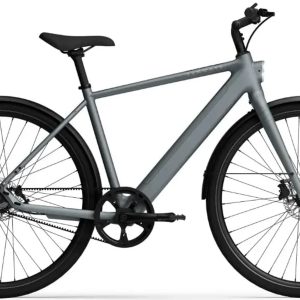 TENWAYS CGO600 PRO Elektrische Herenfiets M (1.70m - 1.80m)
