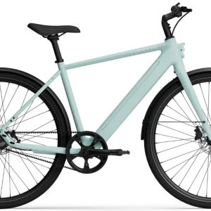 TENWAYS CGO600 PRO Elektrische Herenfiets M (1.70m - 1.80m)