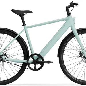 TENWAYS CGO600 PRO Elektrische Herenfiets L (1.80m - 1.95m)