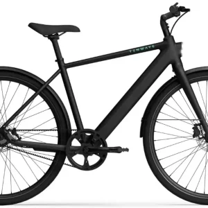 TENWAYS CGO600 PRO Elektrische Herenfiets XL (1.85m - 1.95m)